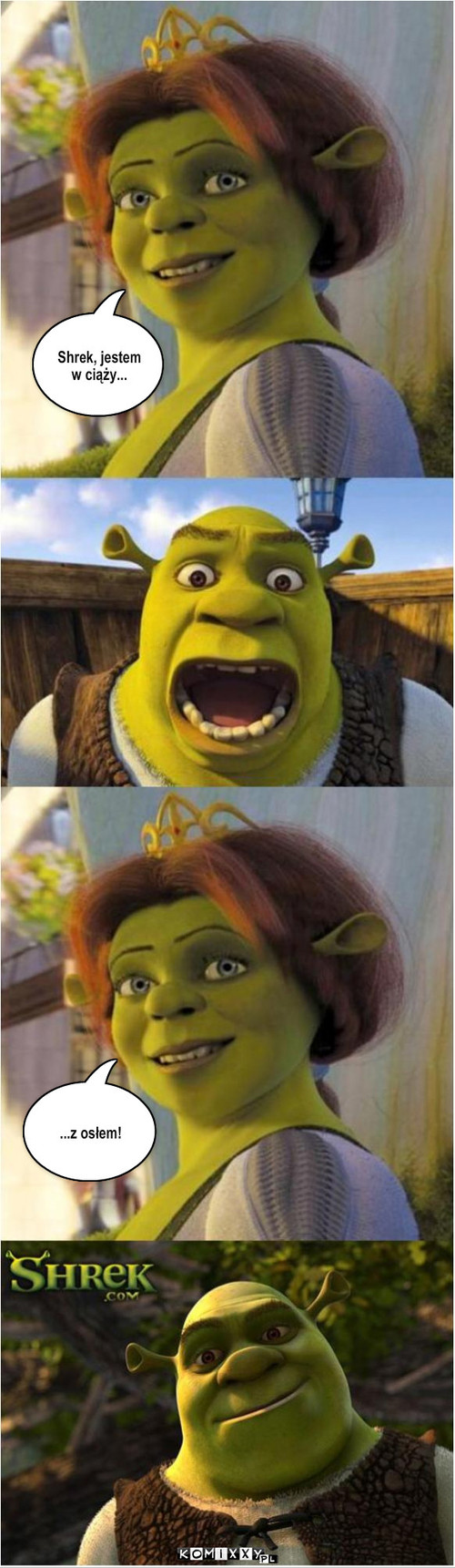 Shrek, jestem w ciąży... – Shrek, jestem w ciąży... ...z osłem! 