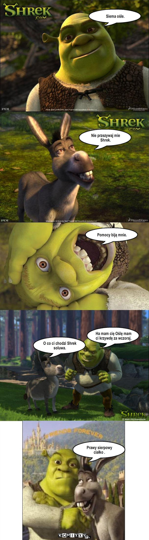 Shrek i Osioł – Siema ośle. Nie przezywaj mie Shrek. Pomocy biją mnie. Ha mam cię Oślę mam ci krzywdę za wczoraj. O co ci chodzi Shrek soluwa. Prawy sierpowy ciałko . 