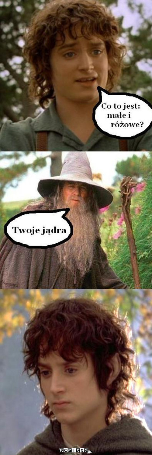 Gandalf –  