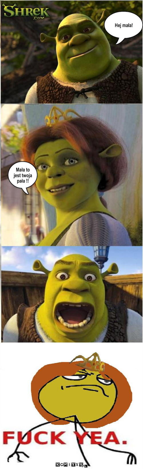 Shrek –  