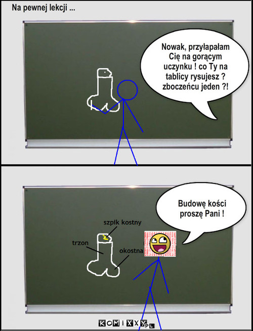 Lekcja biologii – Na pewnej lekcji ... Nowak, przyłapałam Cię na gorącym uczynku ! co Ty na tablicy rysujesz ? zboczeńcu jeden ?! Budowę kości proszę Pani ! 