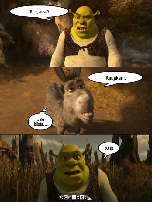 Shrek i Osioł sp.zoo – Kim jesteś? Kjiujikem. Jaki idiota. ... :O !!! 