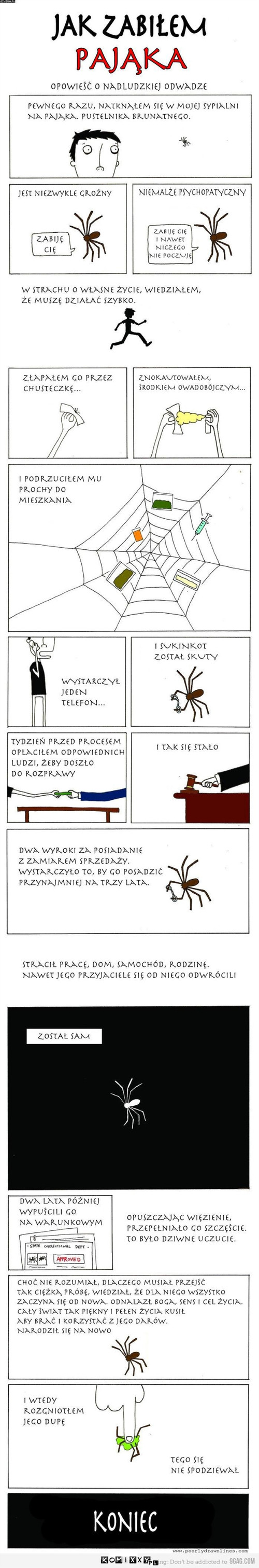 Pająk –  