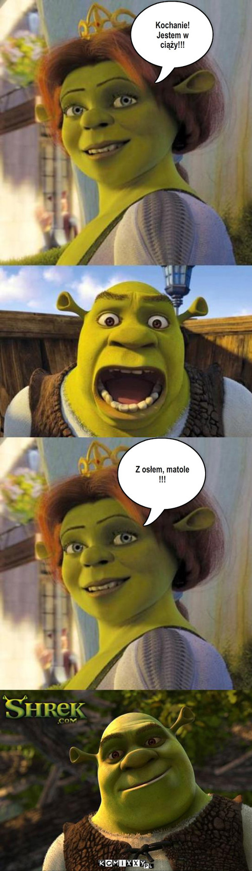 Fiona&Shrek – Kochanie! Jestem w ciąży!!! Z osłem, matole !!! 