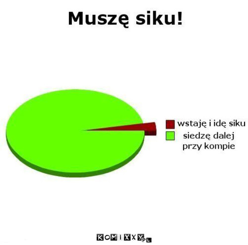 Musze siku! –  