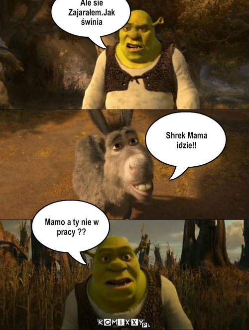 Zajarany Shrek – Tekst.. Ale sie Zajarałem.Jak świnia Shrek Mama idzie!! Mamo a ty nie w pracy ?? 