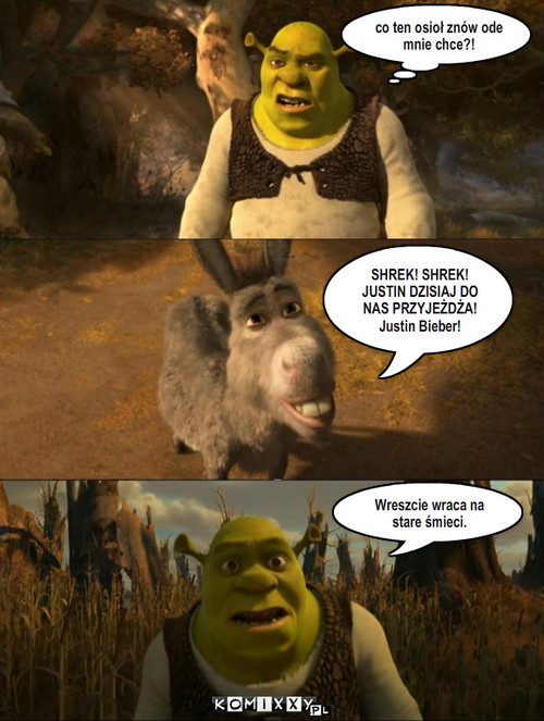 Shrek i Justin – co ten osioł znów ode mnie chce?! SHREK! SHREK! JUSTIN DZISIAJ DO NAS PRZYJEŻDŻA! Justin Bieber! Wreszcie wraca na stare śmieci. 