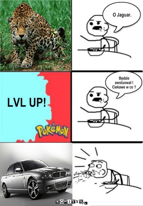 Evolucja – O Jaguar. 