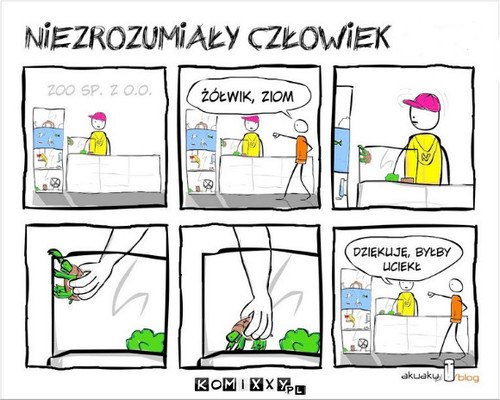 Żółwik –  