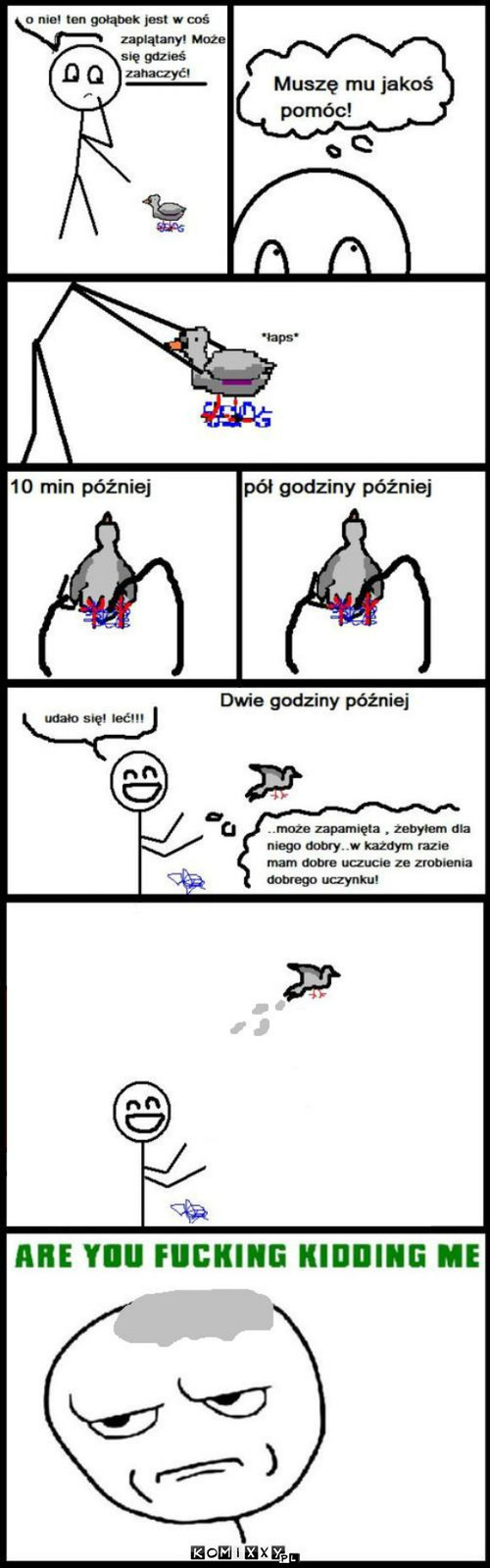 Niewdzięczny gołąb –  