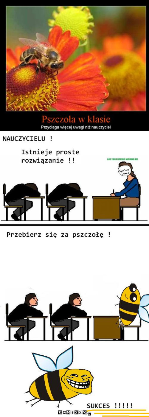 Pszczoła –  