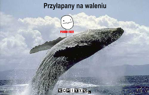 Walenie – Przyłapany na waleniu 