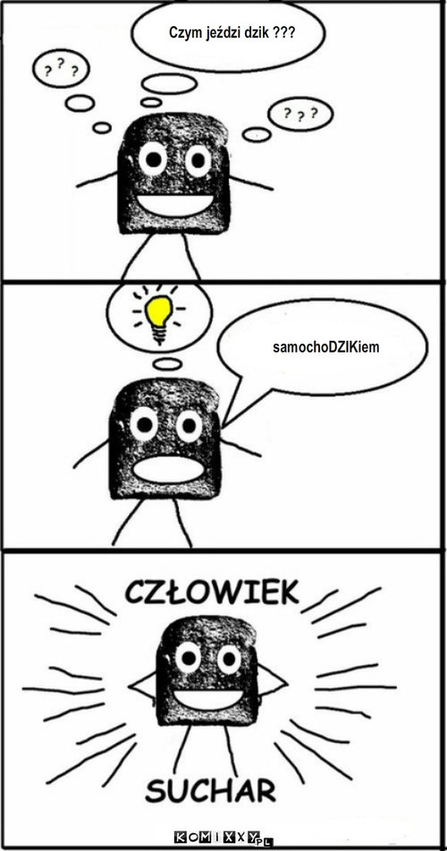 Samochodzik – Czym jeździ dzik ??? samochoDZIKiem 