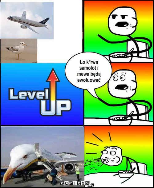 Level up – Ło k*rwa samolot i mewa będą ewoluować 