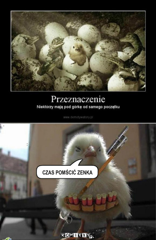 Kurczak – CZAS POMŚCIĆ ZENKA 