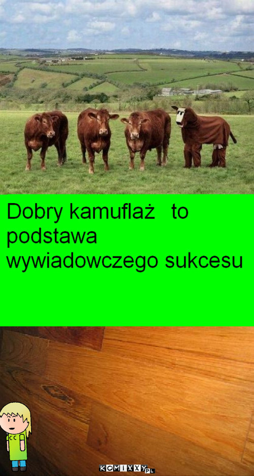 Kamuflaż –  