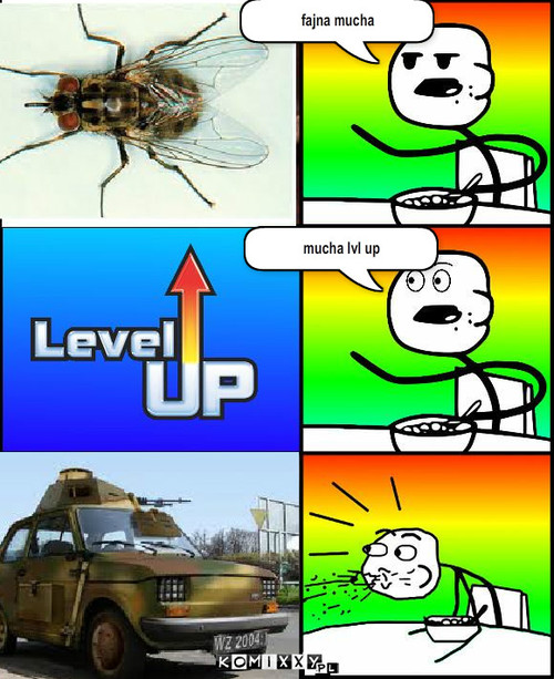 LVL UP MUCHa – fajna mucha mucha lvl up 