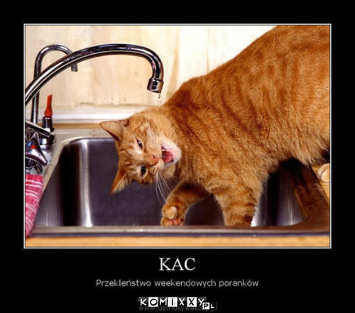 KAC –  