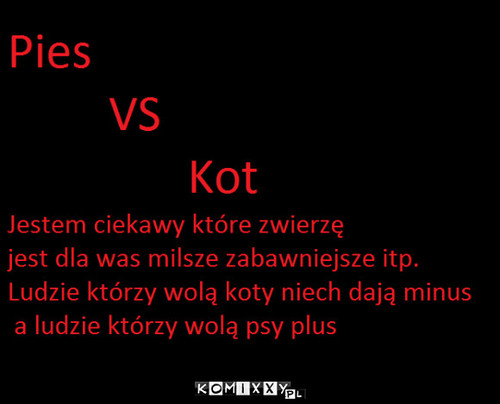 Pies Vs Kot –  