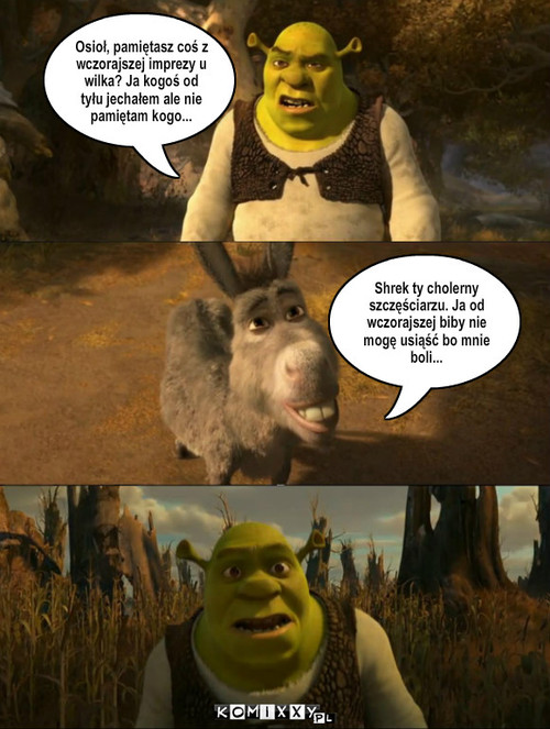 Skutki pica wódki – Osioł, pamiętasz coś z wczorajszej imprezy u wilka? Ja kogoś od tyłu jechałem ale nie pamiętam kogo... Shrek ty cholerny szczęściarzu. Ja od wczorajszej biby nie mogę usiąść bo mnie boli... 