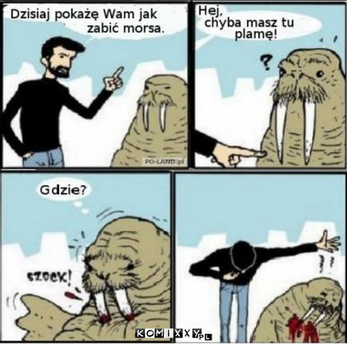 Jak zabić morsa? –  