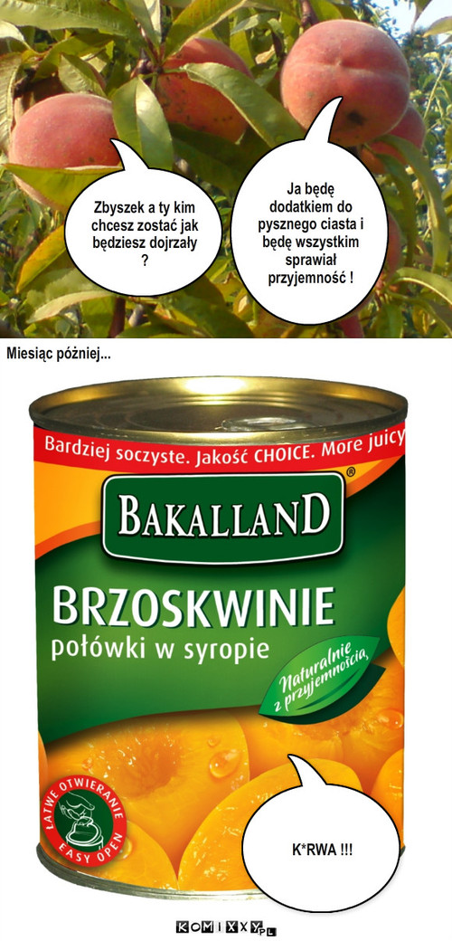 Marzenie – Zbyszek a ty kim chcesz zostać jak  będziesz dojrzały ? Ja będę dodatkiem do pysznego ciasta i będę wszystkim sprawiał przyjemność ! Miesiąc póżniej... K*RWA !!! 