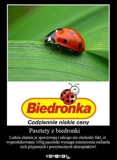 Biedronki, ryby i dzieci Noe głosu nie mają. –  