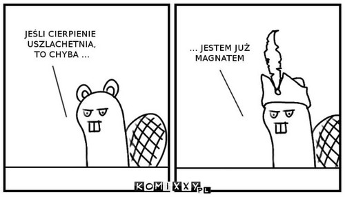 Jestem już magnatem  –  