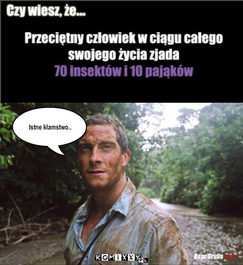 Kłamstwo – Istne kłamstwo.. 