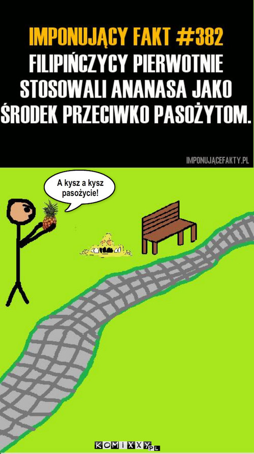 Pasorzyty – A kysz a kysz
pasożycie! 