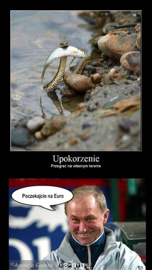 Euro –  