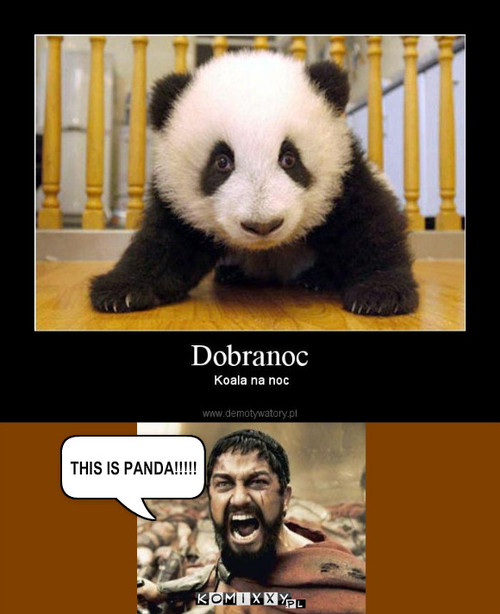 This is panda! – THIS IS PANDA!!!!! 