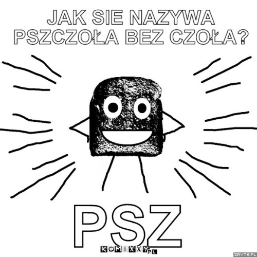 Pszczoła bez czoła? –  