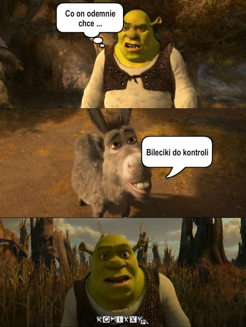 Shrek – Bileciki do kontroli Co on odemnie chce ... 