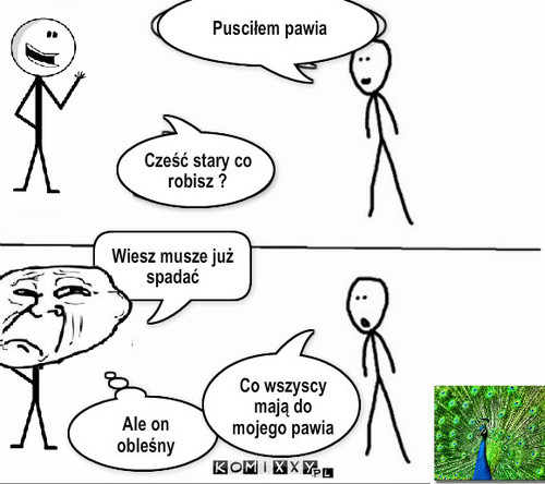 Paw – Pusciłem pawia Cześć stary co robisz ? Ale on obleśny Wiesz musze już spadać Co wszyscy mają do mojego pawia 