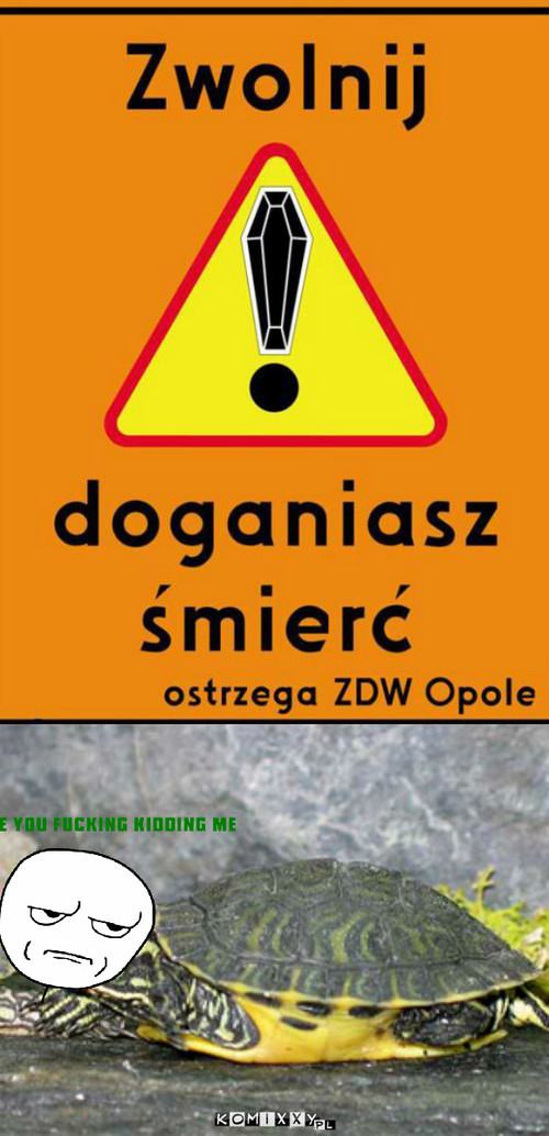 Zwolnij doganiasz... –  