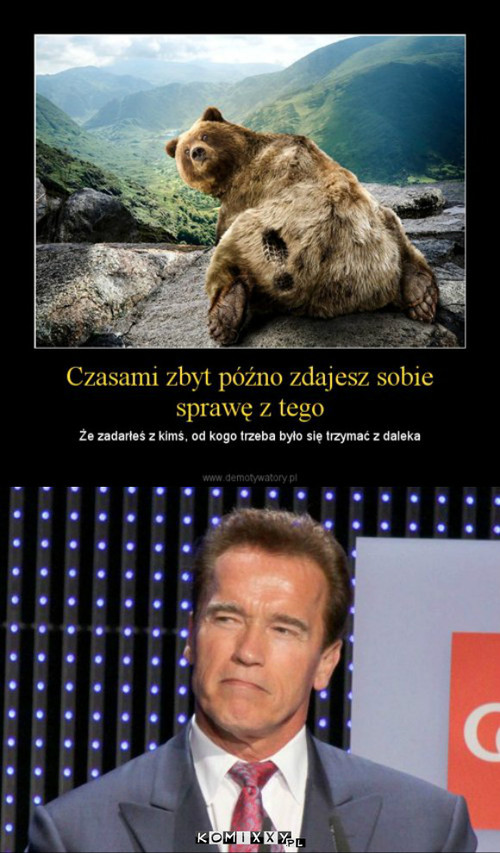 Arnold –  