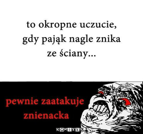 Pająk –  