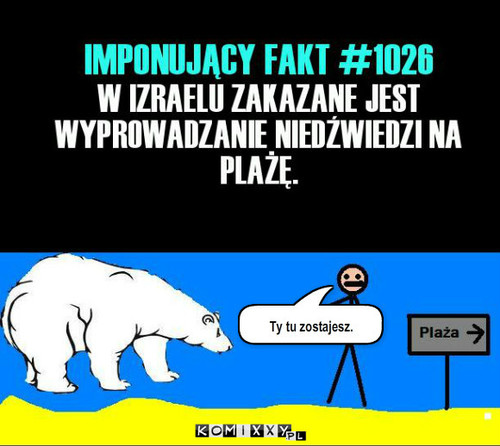 Niedźwiedź –  