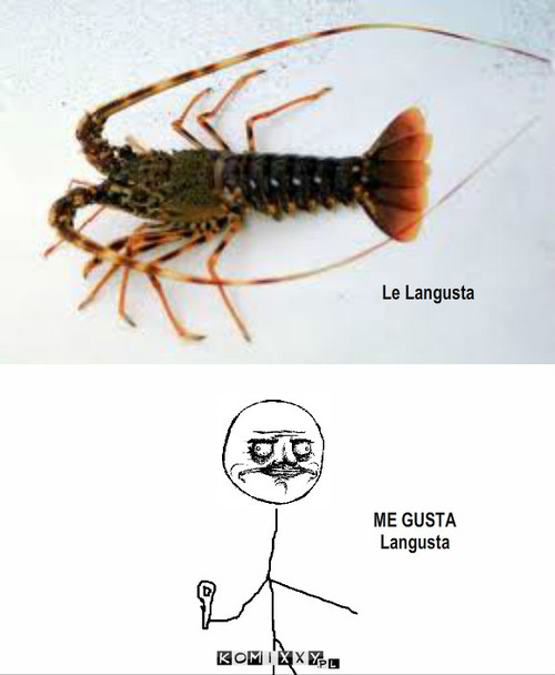 Langusta – ME GUSTA
Langusta Le Langusta 