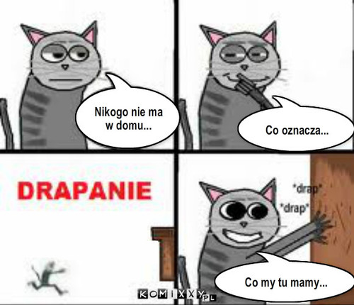 Drapanie – Nikogo nie ma w domu... Co oznacza... Co my tu mamy... 