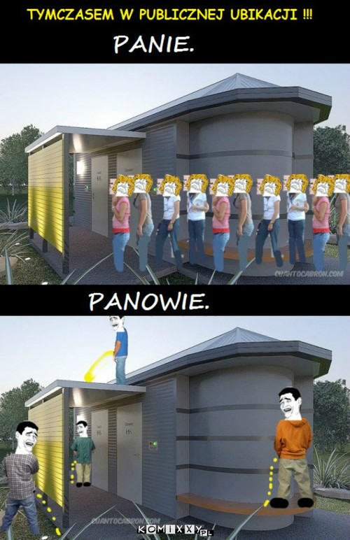 Panie i Panowie  –  