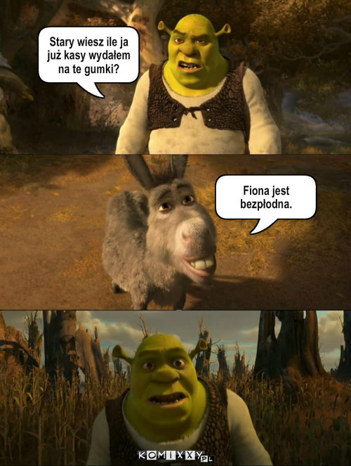 Shrek – Stary wiesz ile ja już kasy wydałem na te gumki? Fiona jest bezpłodna. 