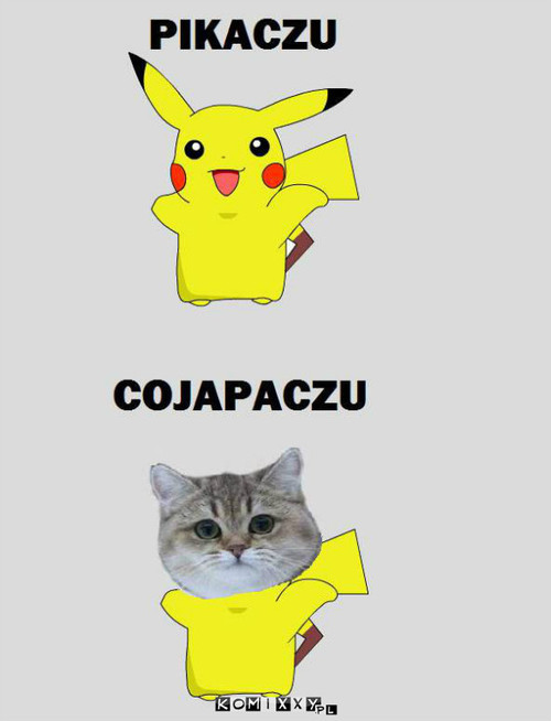 Nowy pokemon  –  