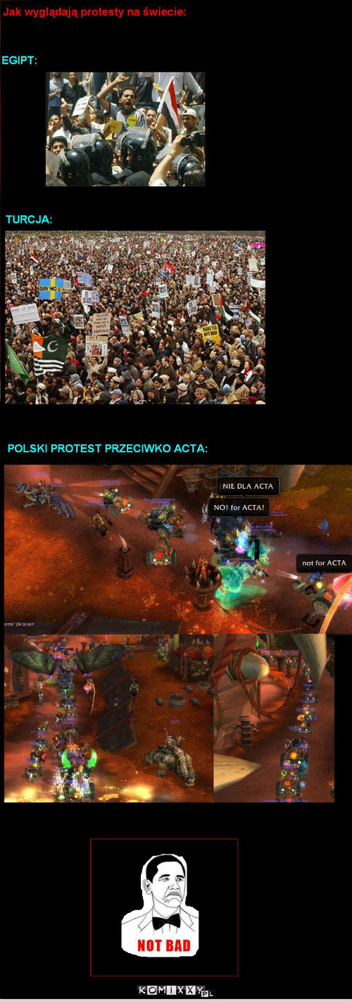 ACTA - WoW Polska –  