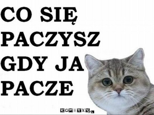 Co paczysz? –  