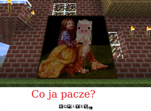 Co ja pacze?-minecraft –  