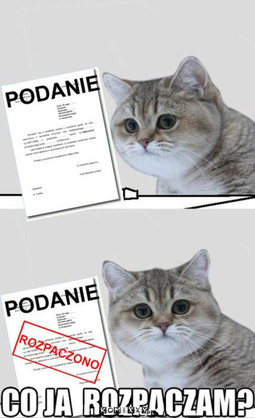 Podanie –  