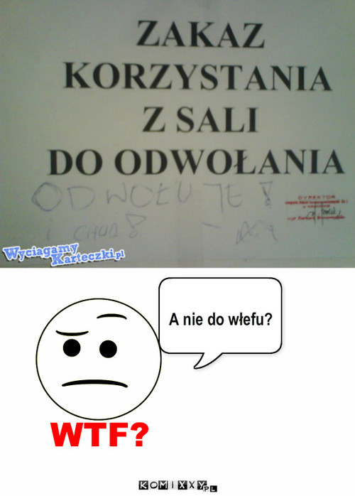 WTF? – A nie do włefu? 