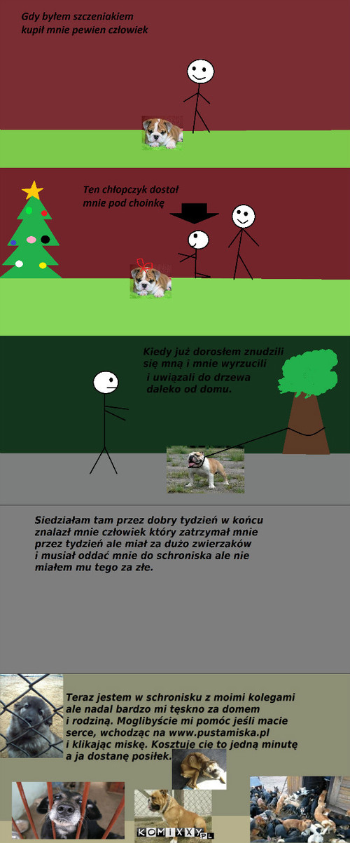 Nie baw się życiem –  